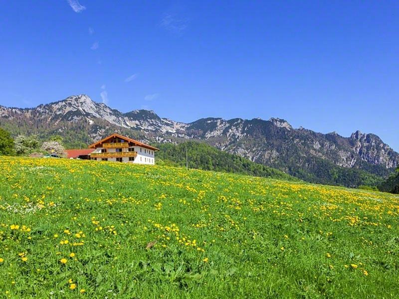 Ferienwohnung Roislerlehen Bischofswiesen Dış mekan fotoğraf