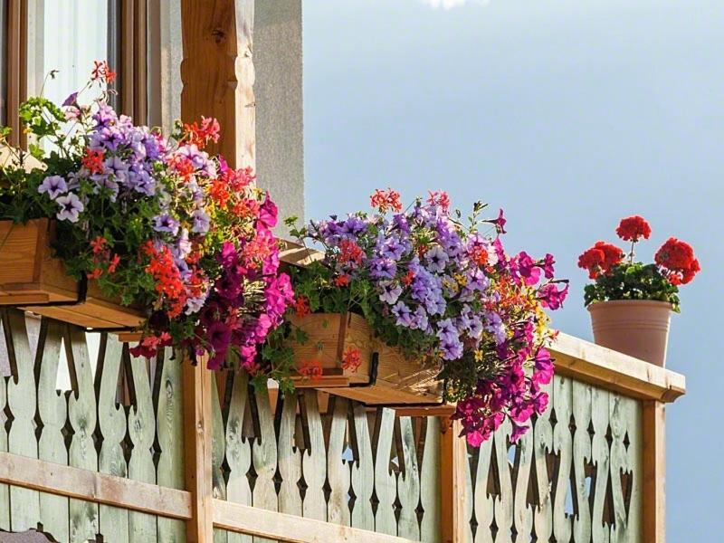 Ferienwohnung Roislerlehen Bischofswiesen Dış mekan fotoğraf